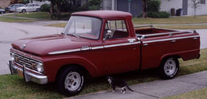 [1964 Ford F100]